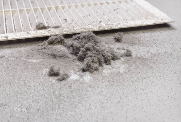 Best Local Air Duct Cleaning Services  in Triangle, VA
