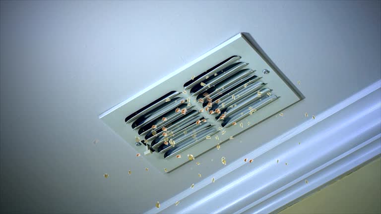 Best Air Duct Cleaning Near Me  in Triangle, VA