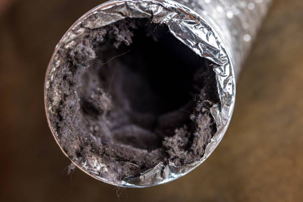 Best Affordable HVAC Duct Cleaning  in Triangle, VA